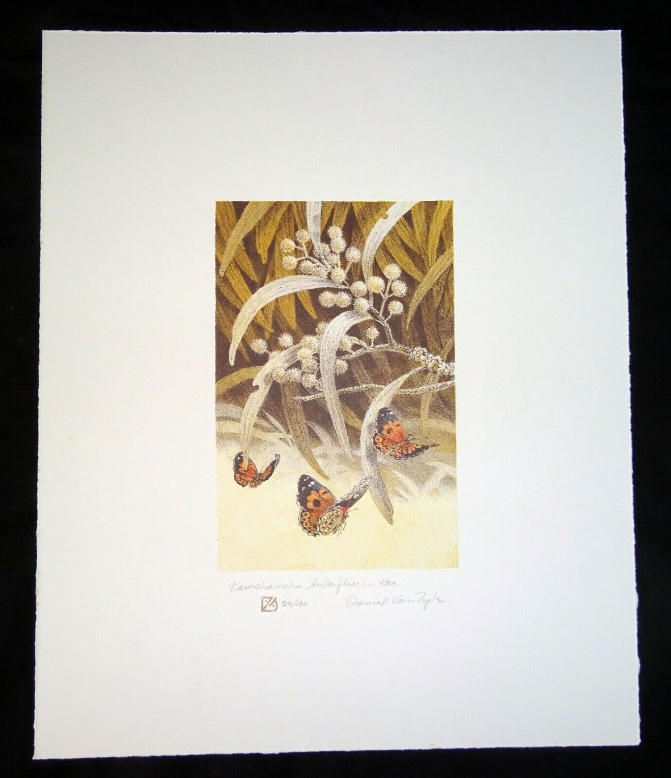 '98 Hawaii Litho Print 22/40 "Kamehameha Butterflies" by Daniel Van Zyle (AHB)