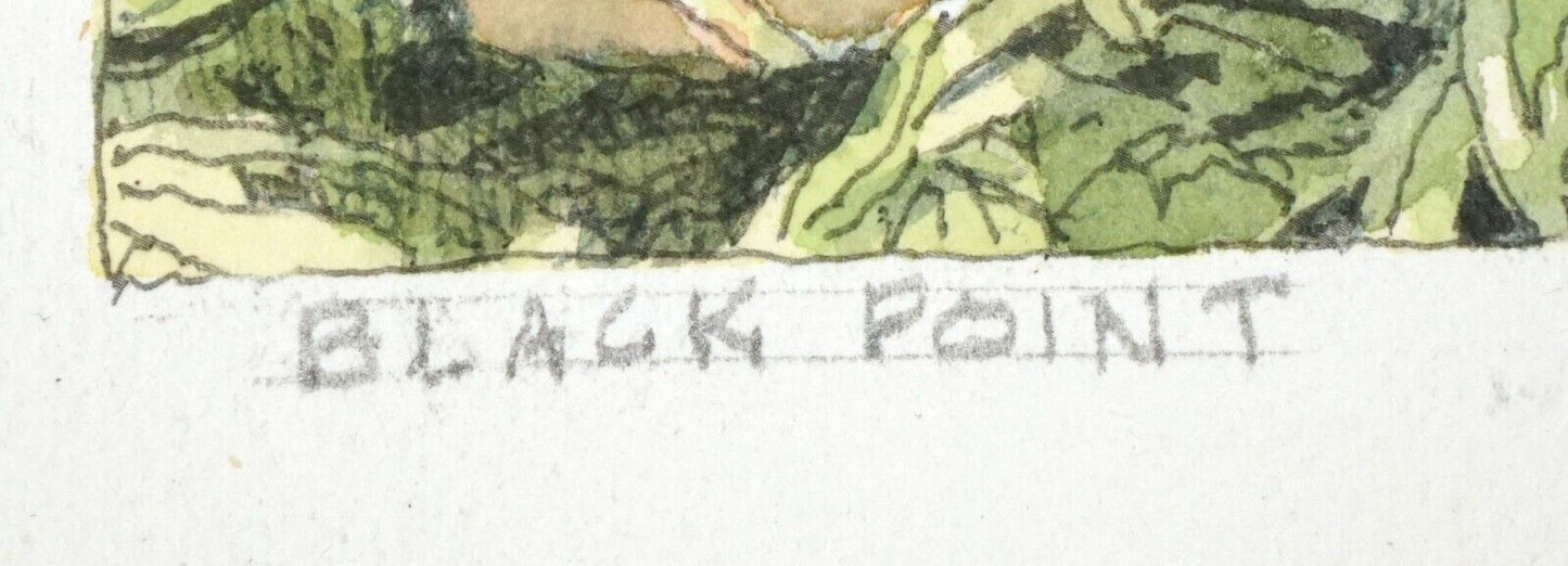 Hawaii Watercolor Painting "Black Point from Diamond Head Road" L. Segedin #99