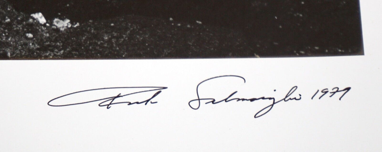 1979 US Hawaii Photo 81/125 "Mano Point, Big Island" by Frank Salmoiraghi (Mod)