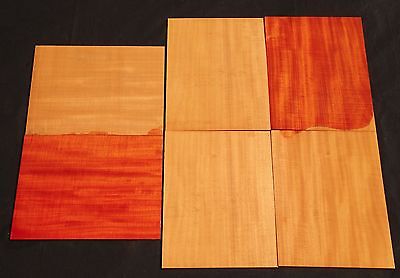 6 Seq Pc of Ribbon Striped Hawaii Grown Cuban Swietenia Mahagoni Wood (CBP) #17