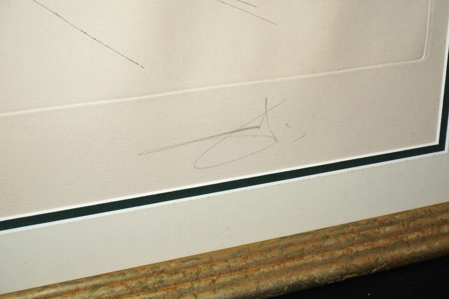 Hand Colored Etching Artist's Proof "Transparent Horse" by Salvador Dali (HiC)