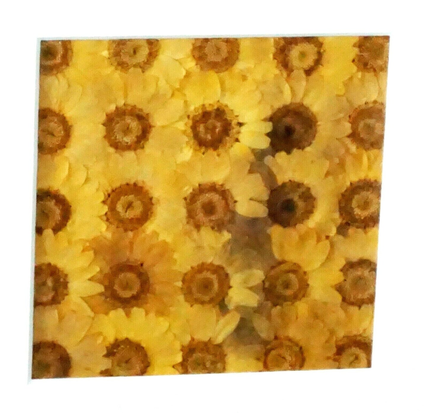 Vintage Framed Dried Pressed Yellow Flower Collage by Julie Anne (KrT)
