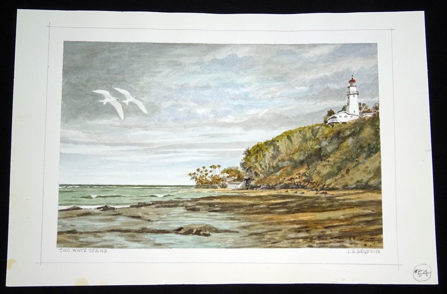 Original Hawaii Watercolor Painting "Two White Fairy Terns" by L. Segedin #54