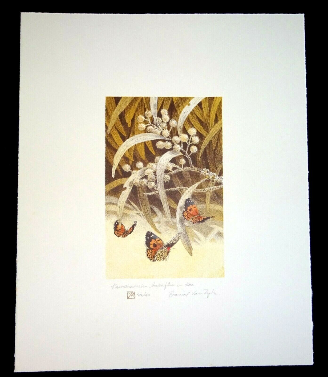 '98 Hawaii Litho Print 22/40 "Kamehameha Butterflies" by Daniel Van Zyle (AHB)