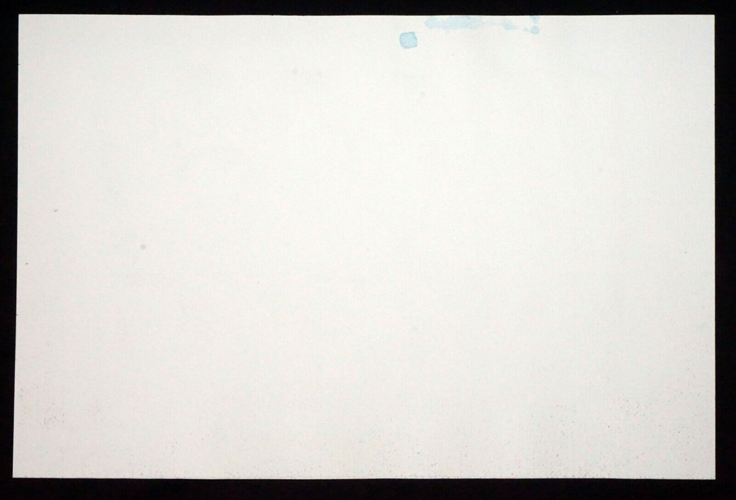 Hawaii Watercolor Painting "Fairy Terns over Kahala Beach" by Larry Segedin #55