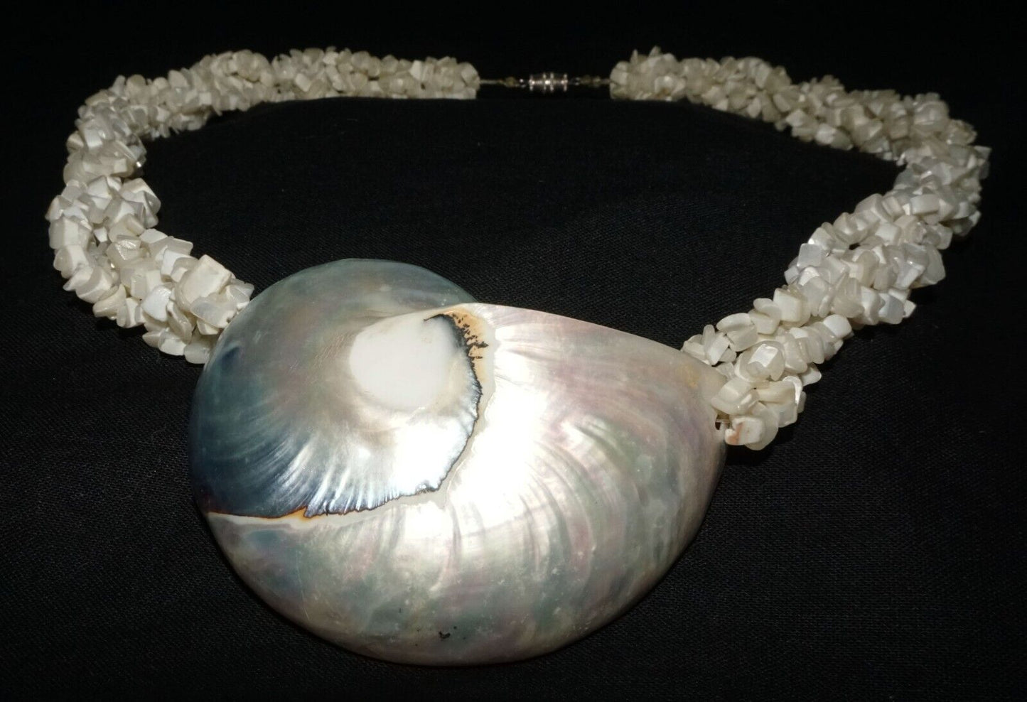 Vintage Shell Bead Necklace & Attractive Shell Pendant w. Screw Clasp (ShI)
