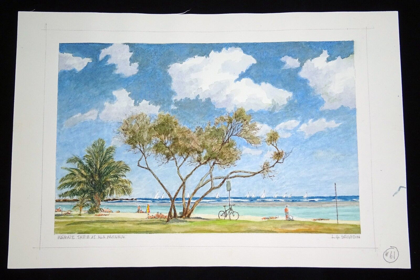 Orig Hawaii Watercolor Painting "Keawe Tree @Ala Moana Beach" by L. Segedin #61