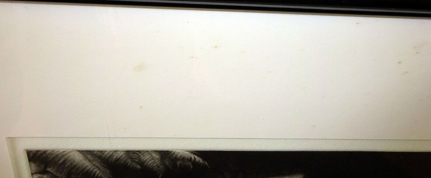 Vintage Hawaii Framed Mezzotint Print A/P "He Malu Ho'olu" by Dodie Warren (CuM)