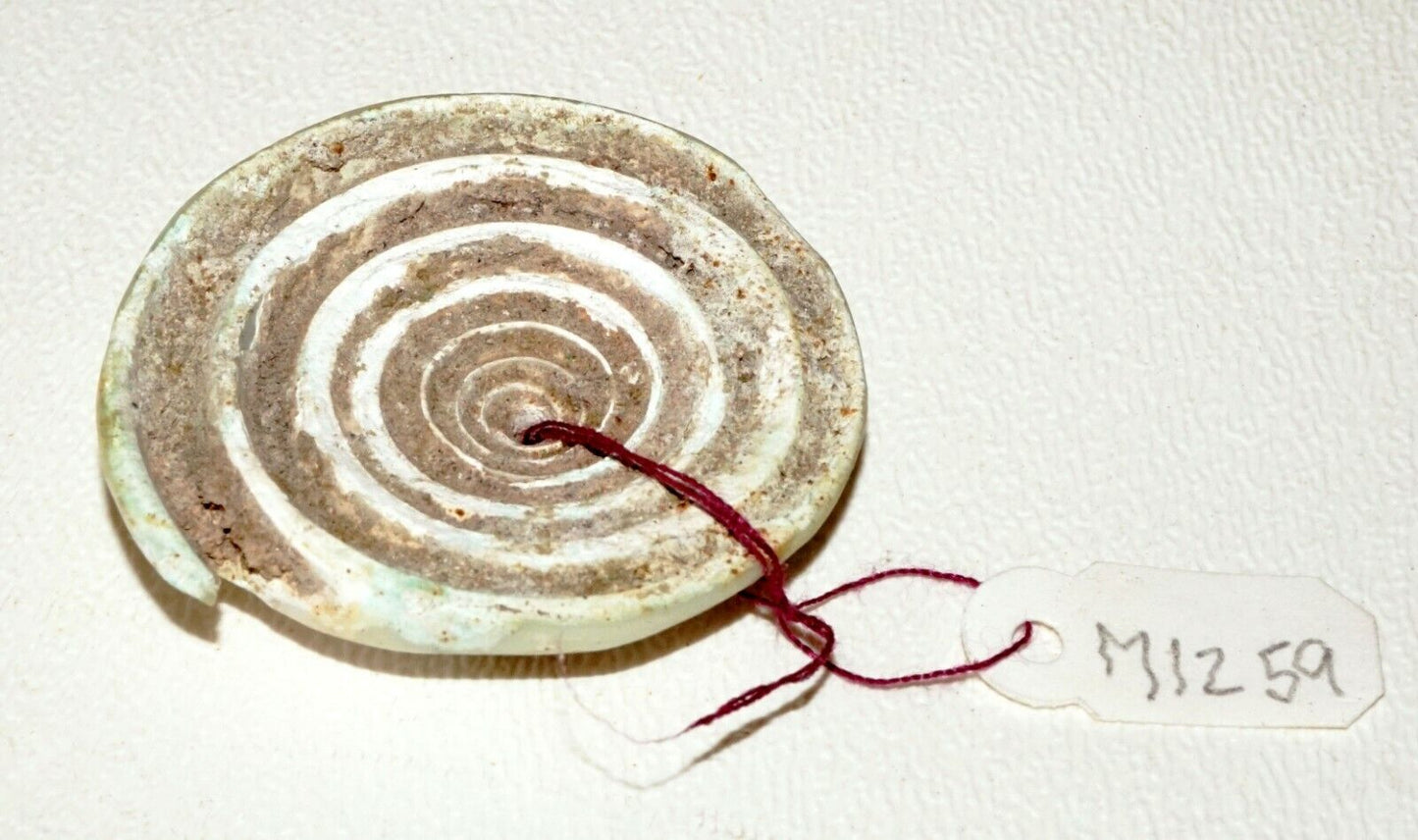 Prehistoric Ban Chiang Excavated Coiled Marine Cone Shell Earring (Mil)#221