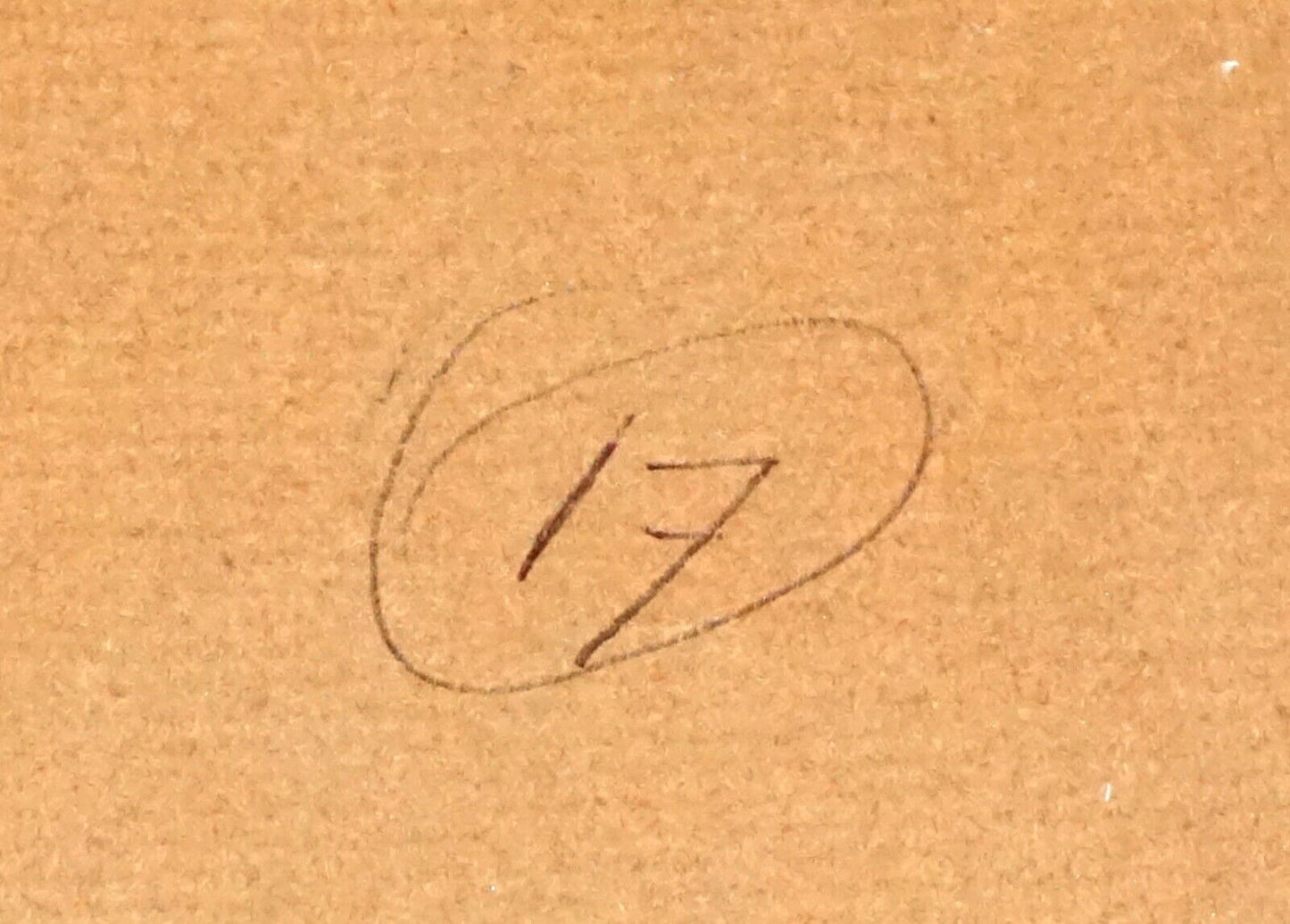 Hawaii Red/Black Conte Drawing Reclining Male Nude by Snowden Hodges (Sho)#17