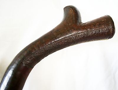 Antique Fijian Viti Wooden Carved War Club w. Kill Marks (Dil)