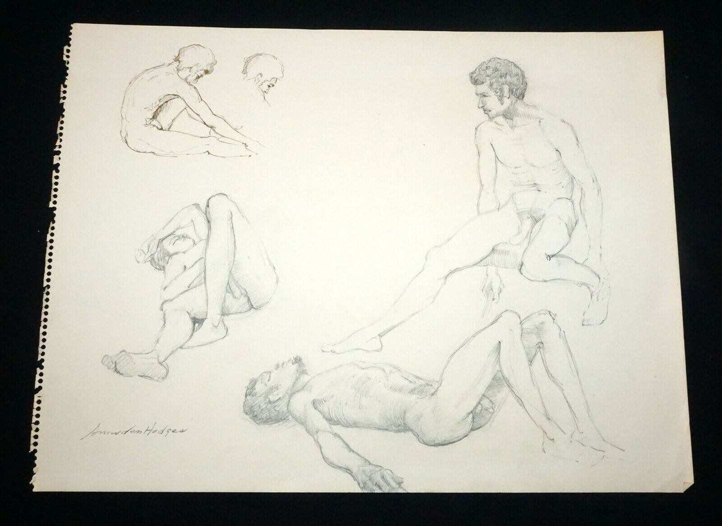 Hawaii Graphite Drawing Male Nude Study Snowden Hodges (Sho)#8