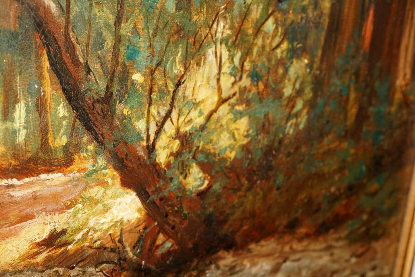 1910 California Oil Painting Forest by David Howard Hitchcock (1861-1943) (SRs)