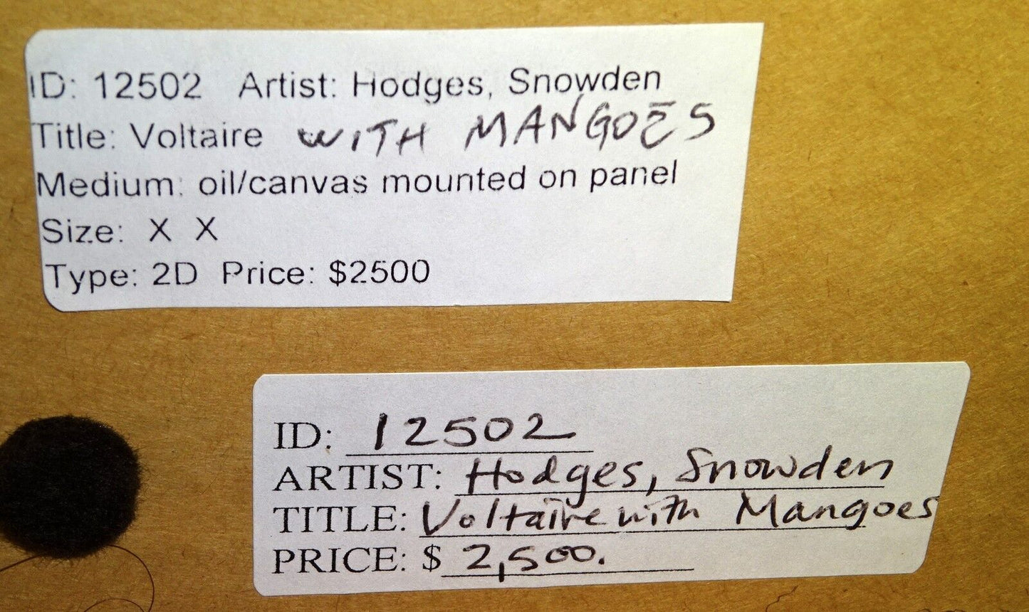 Hawaii Oil Still Life Painting "Voltaire with Mangos" by Snowden Hodges (Sho)