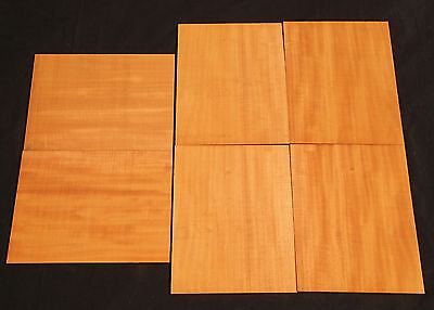 6 Seq Pc of Ribbon Striped Hawaii Grown Cuban Swietenia Mahagoni Wood (CBP) #17
