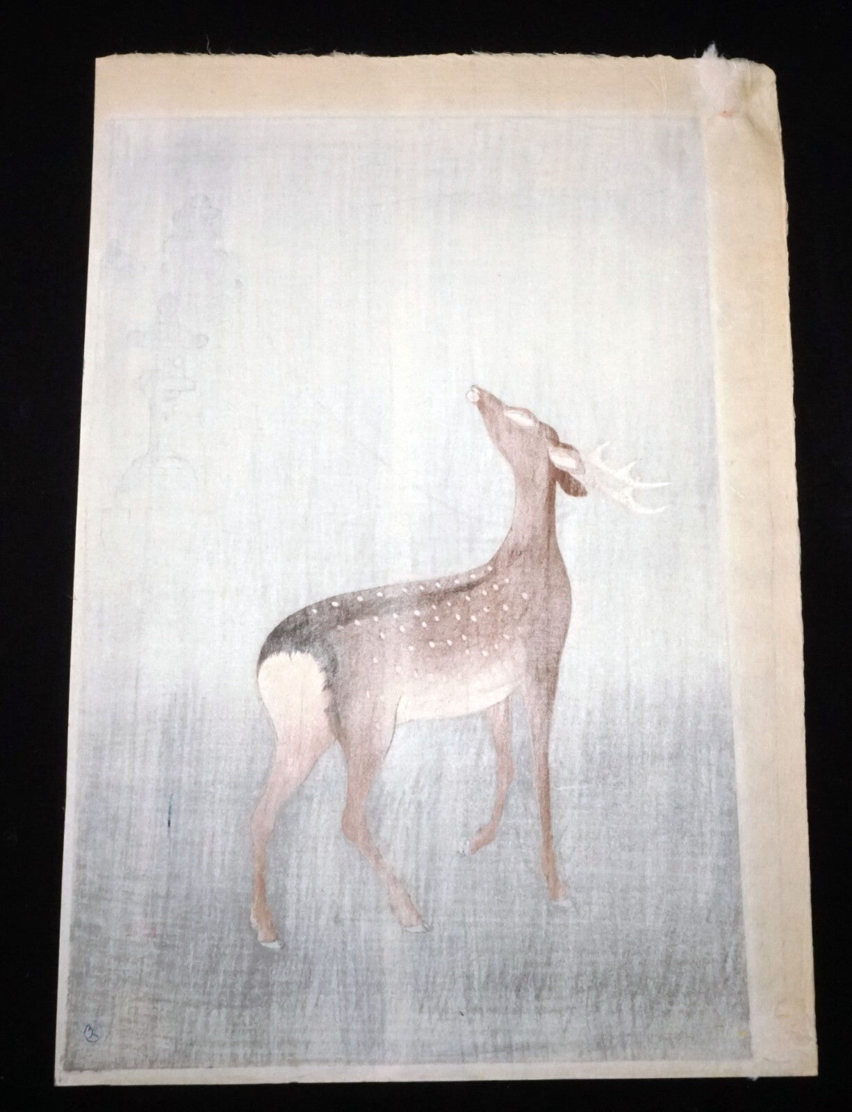 '51 Japanese Woodblock Print Stag & Lantern by Koyo Omura (1891-1983)(KiL) 15