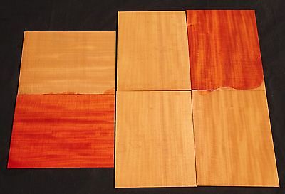 6 Seq Pc of Ribbon Striped Hawaii Grown Cuban Swietenia Mahagoni Wood (CBP) #17