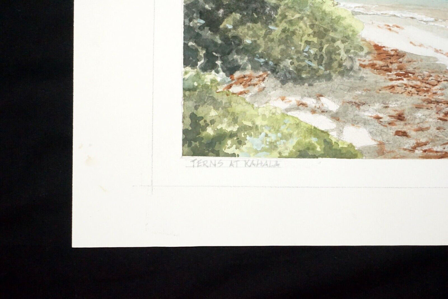 Hawaii Watercolor Painting "Fairy Terns over Kahala Beach" by Larry Segedin #55