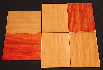 6 Seq Pc of Ribbon Striped Hawaii Grown Cuban Swietenia Mahagoni Wood (CBP) #17
