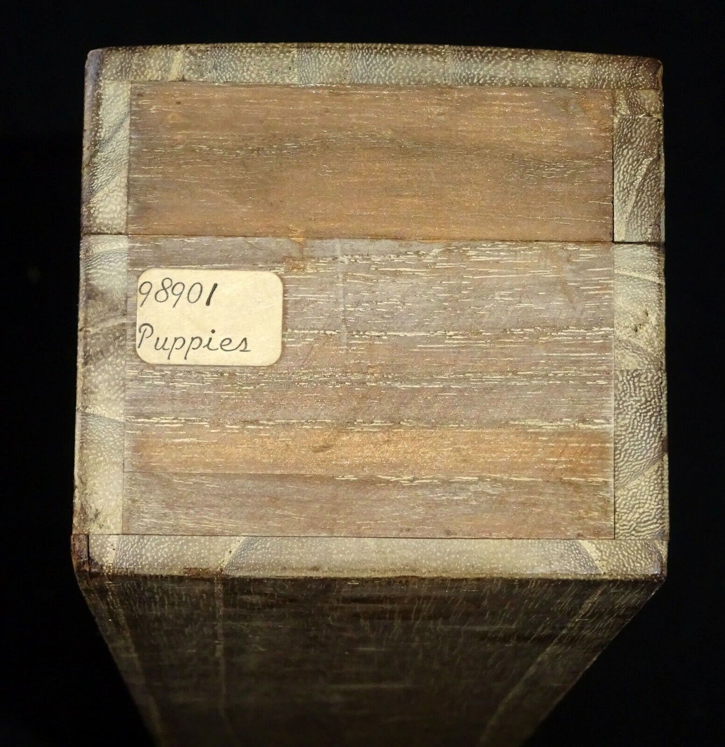 20C Japanese Showa Painting Scroll "Three Puppies in Snow" by Sosen (AHB)