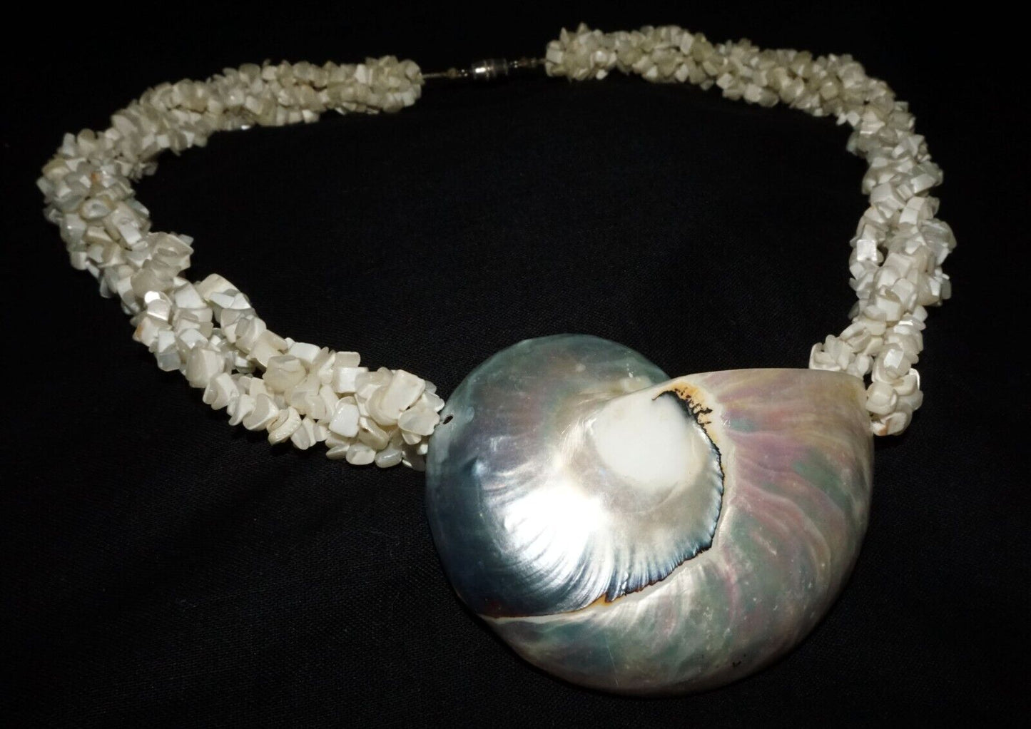 Vintage Shell Bead Necklace & Attractive Shell Pendant w. Screw Clasp (ShI)