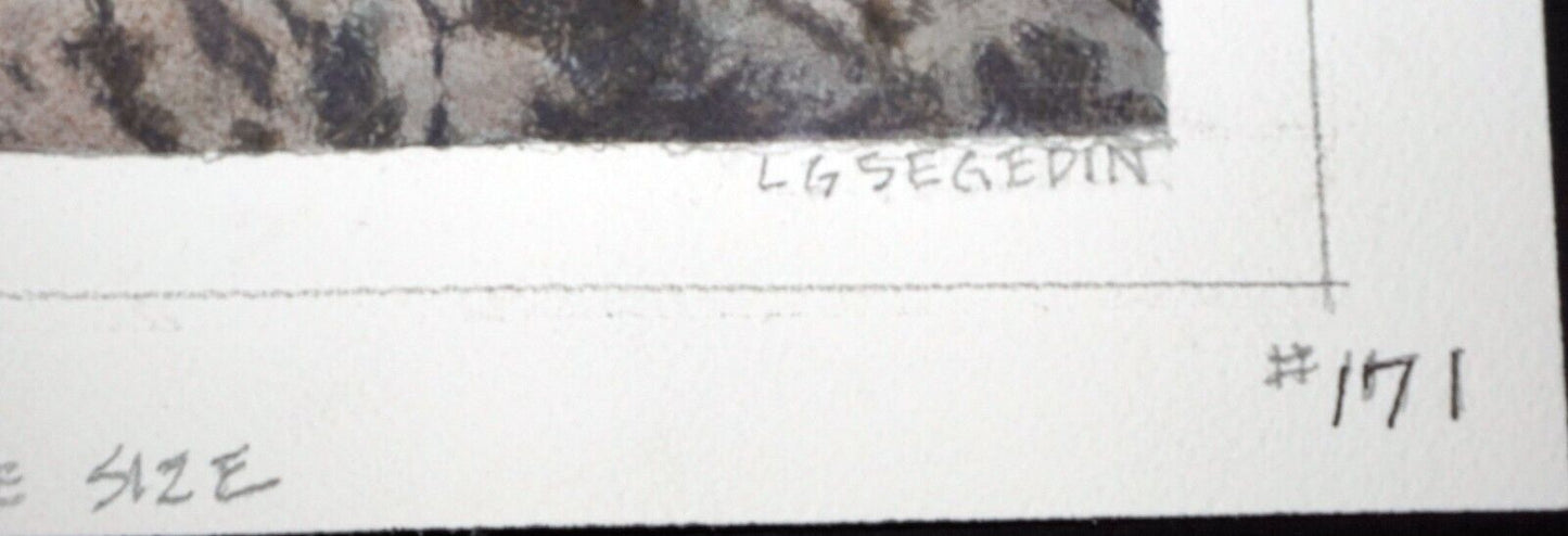 Hawaii Watercolor Painting "Makapuu Point, Oahu" by Larry Segedin #171