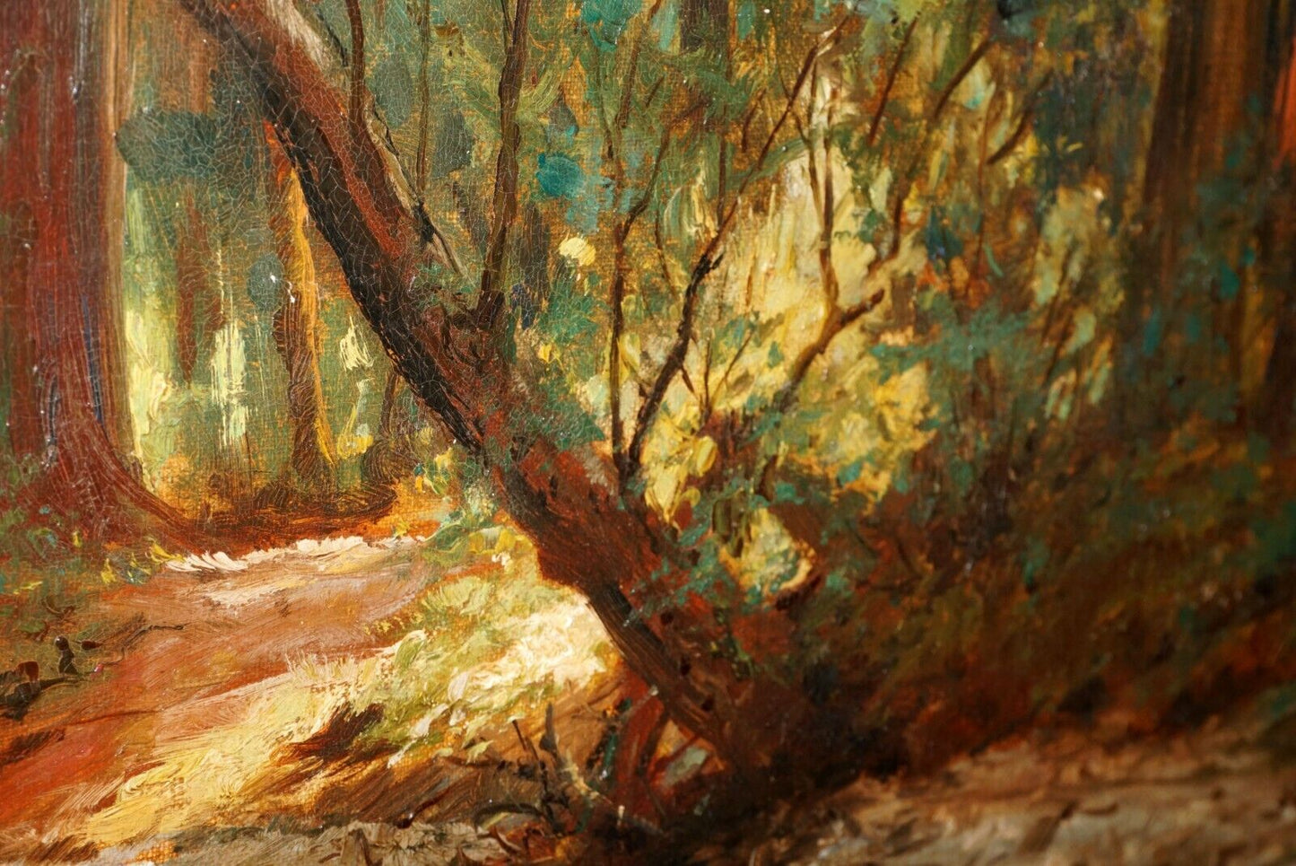 1910 California Oil Painting Forest by David Howard Hitchcock (1861-1943) (SRs)