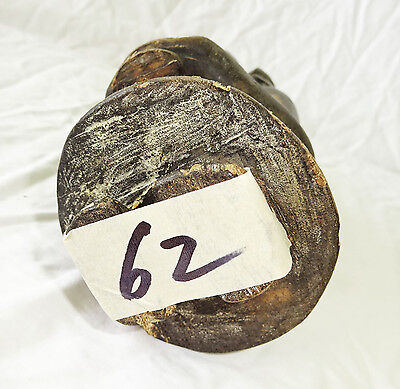 19C/20C Indonesian Nias Island Tribal Carved Ancestral Figure Statue (Eic)