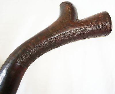 Antique Fijian Viti Wooden Carved War Club w. Kill Marks (Dil)