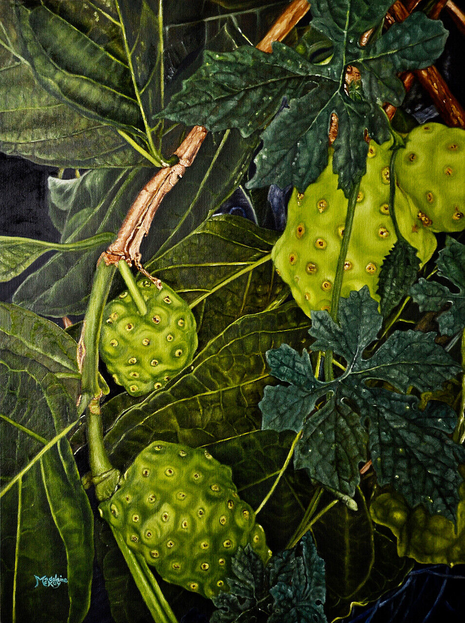 Hawaii Classic Realism Style Oil Painting "Noni Fruit" by Madeleine McKay (McM)