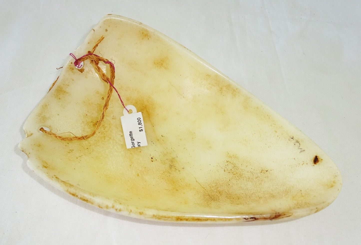 18-19th New Guinea Tobrian Island Conch Shell Gorgette Kouhea Tribe (Mil)