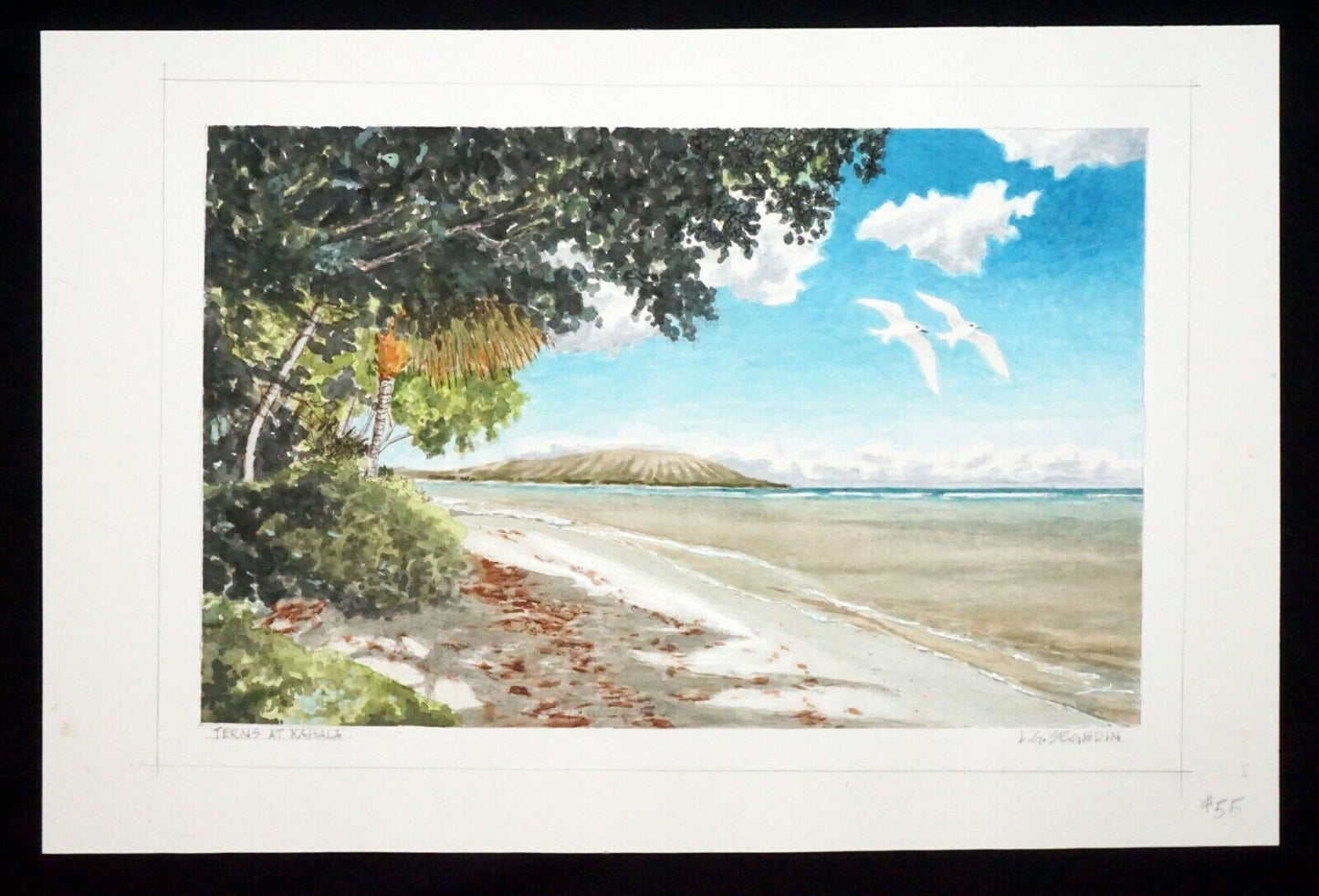 Hawaii Watercolor Painting "Fairy Terns over Kahala Beach" by Larry Segedin #55