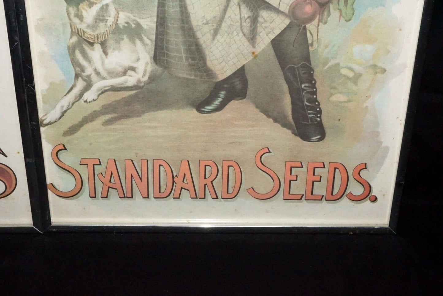 2x Vintage Framed Posters D.M Ferry & Co. Standart Seed For Sale Here (Nil)