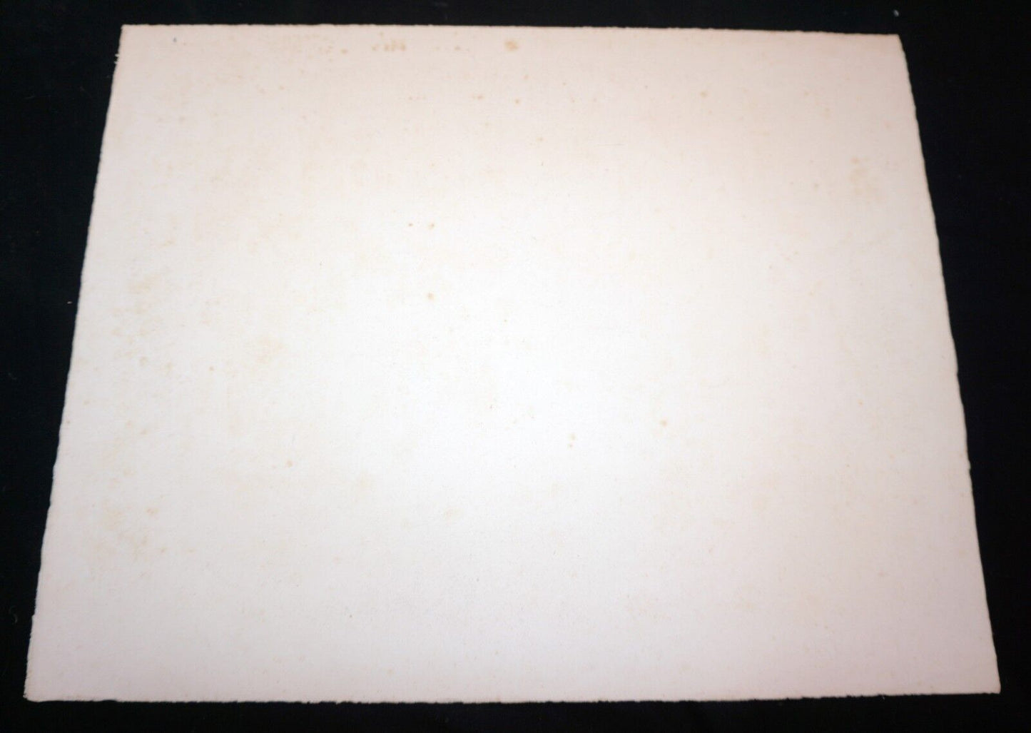 60s Hawaii Abstract Litho Print 1/25 Buffalo by John Chin Young (1909-1997)(Mod)