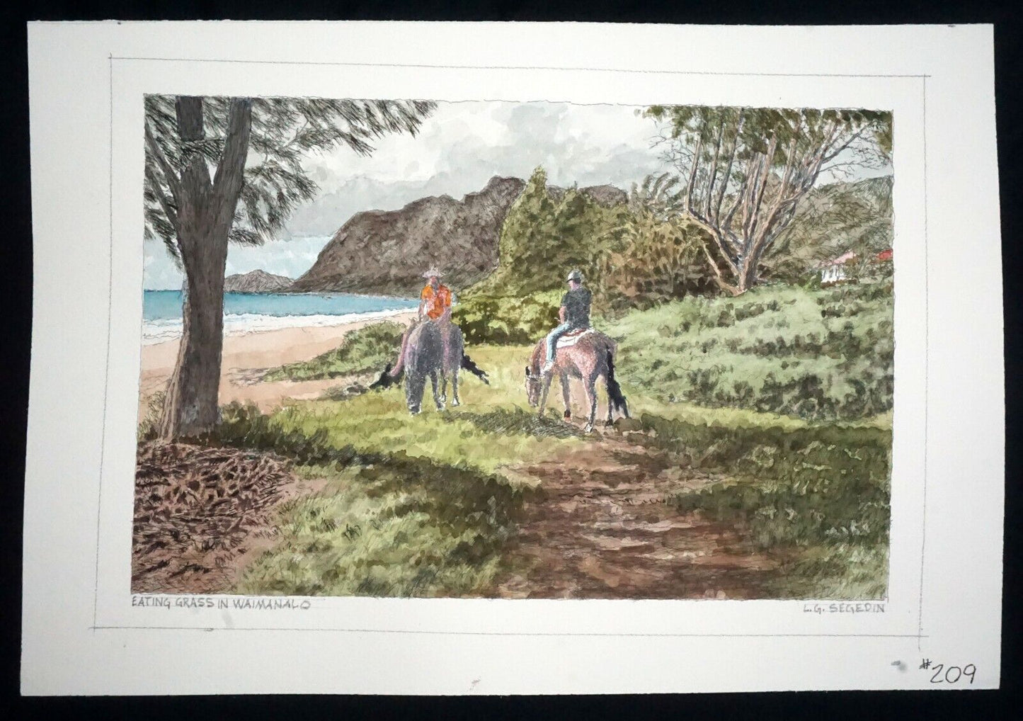 Hawaii Watercolor Painting Horses Eating Grass in Waimanalo by L. Segedin #209