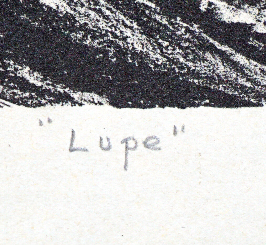 1948 Mexico Litho Print 30/35 "Lupe" by Paul Esteban (Pablo) O'Higgins (Mod)