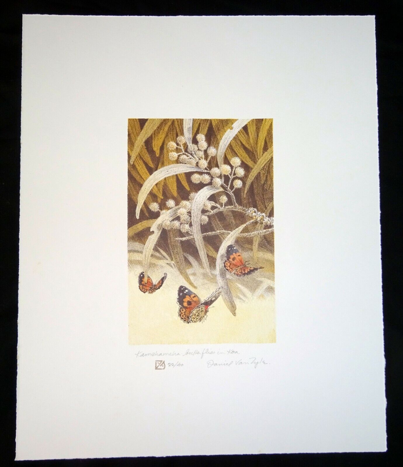 '98 Hawaii Litho Print 22/40 "Kamehameha Butterflies" by Daniel Van Zyle (AHB)