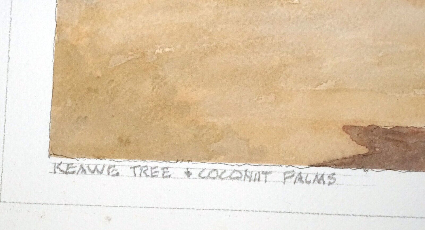 Hawaii Watercolor Painting Keawe Trees & Coconut Palms by Larry Segedin #196