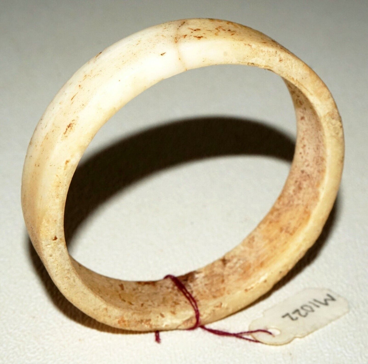 Prehistoric Thai Ban Chiang Child's Marine Shell Bangle Bracelet (Mil) 231