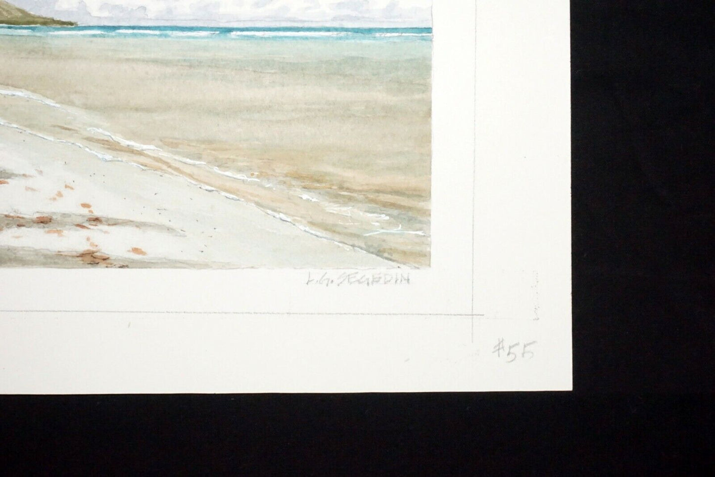 Hawaii Watercolor Painting "Fairy Terns over Kahala Beach" by Larry Segedin #55