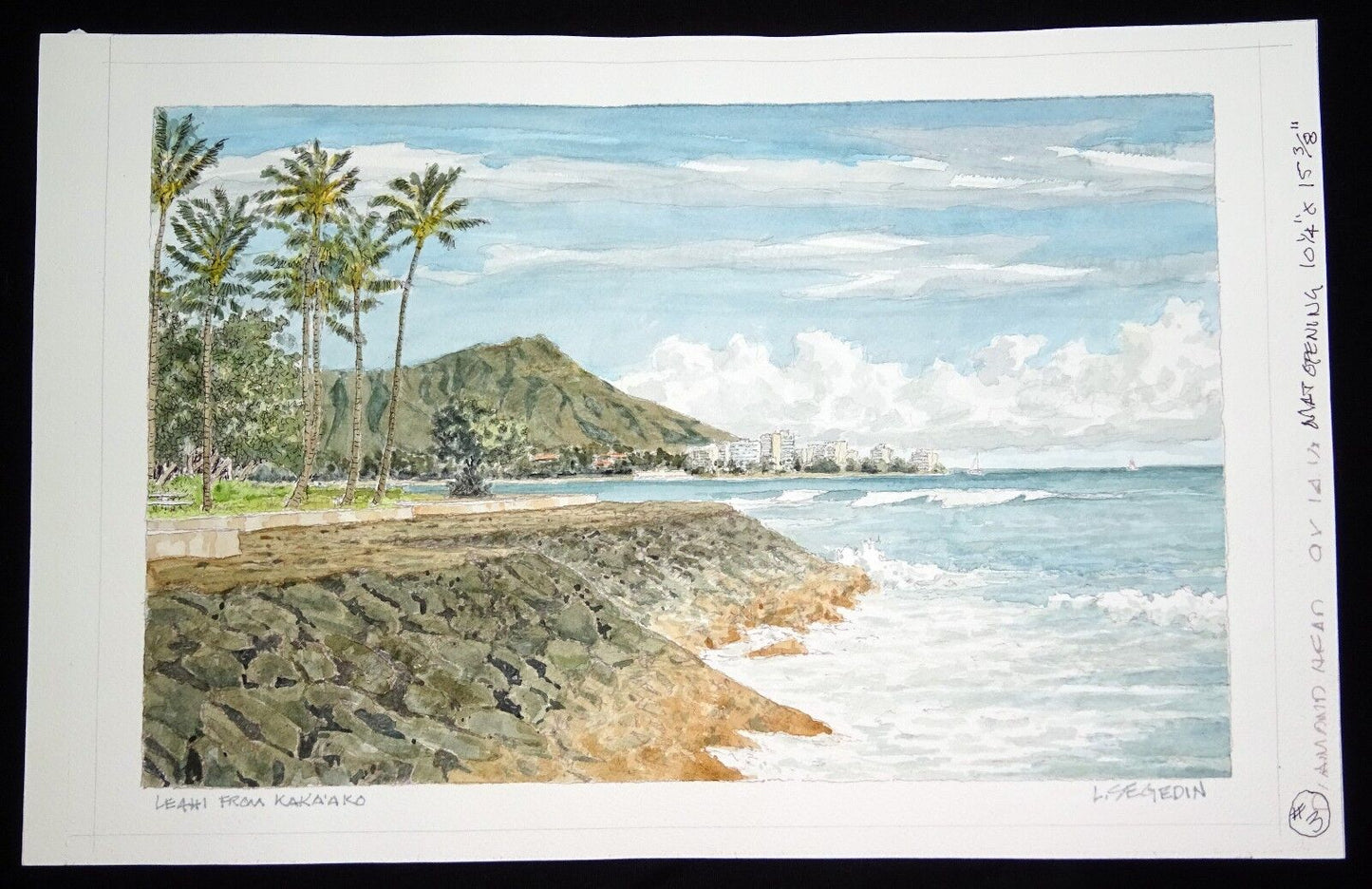 Original Hawaii Watercolor Painting "Leahi from Kaka'ako" by L. Segedin #3