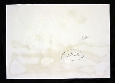 19C Hawaii Watercolor Painting "Rice Planting under Palms" by A. Focke (Geo)