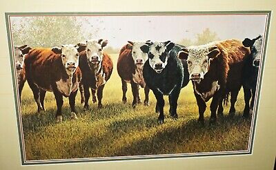 '93 Colorado Koa Framed Print 121/950 "Pasture Patrol" by Lee Cable (b1943)(***)