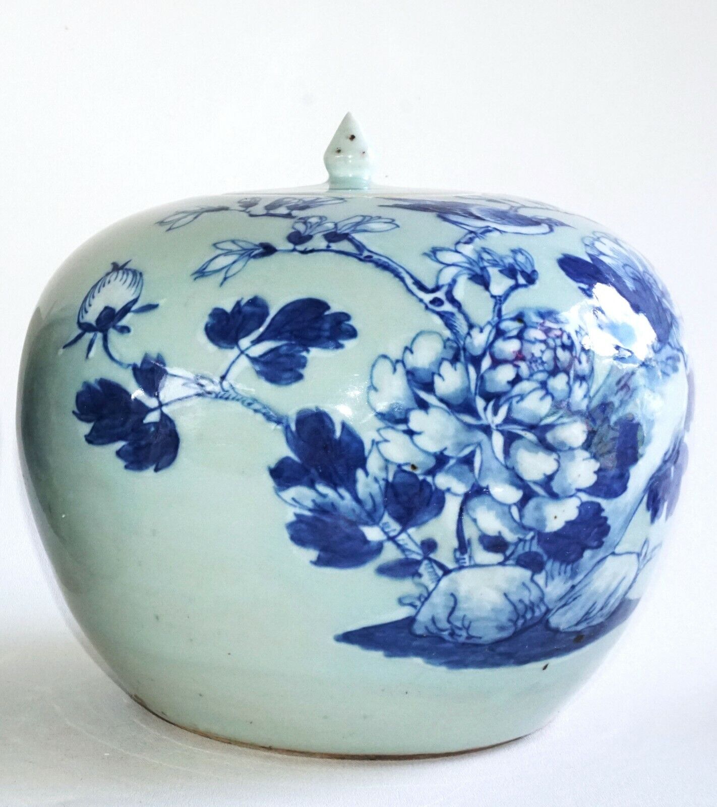 1900 Chinese Ginger Jar w. Blue & White Birds on Flowering Branches Motif (AHB)