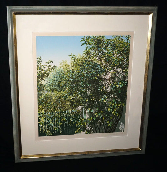 1975 Color Serigraph Artist Edition of a Rosebush by Rolf Schröder-Borm (HiC)