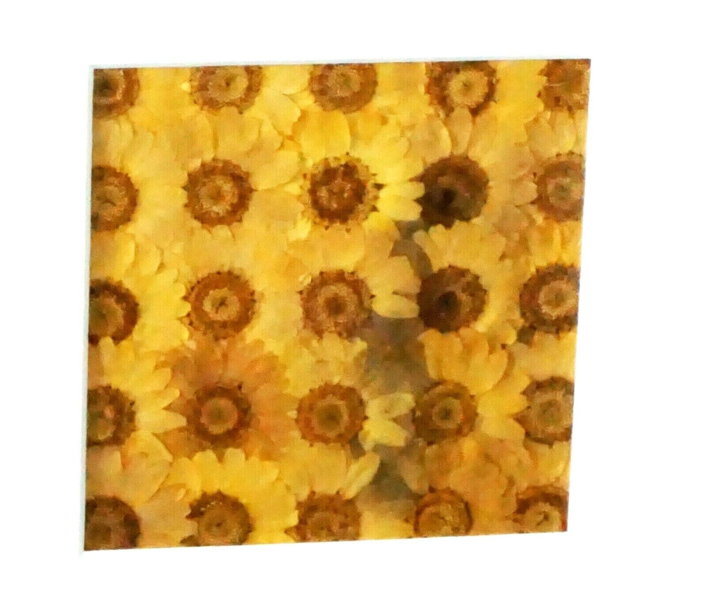 Vintage Framed Dried Pressed Yellow Flower Collage by Julie Anne (KrT)