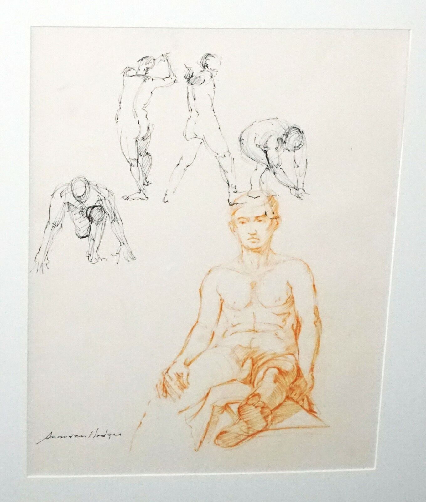 Hawaii Pen & Ink Drawing Painting Male Nude by Snowden Hodges (Sho)