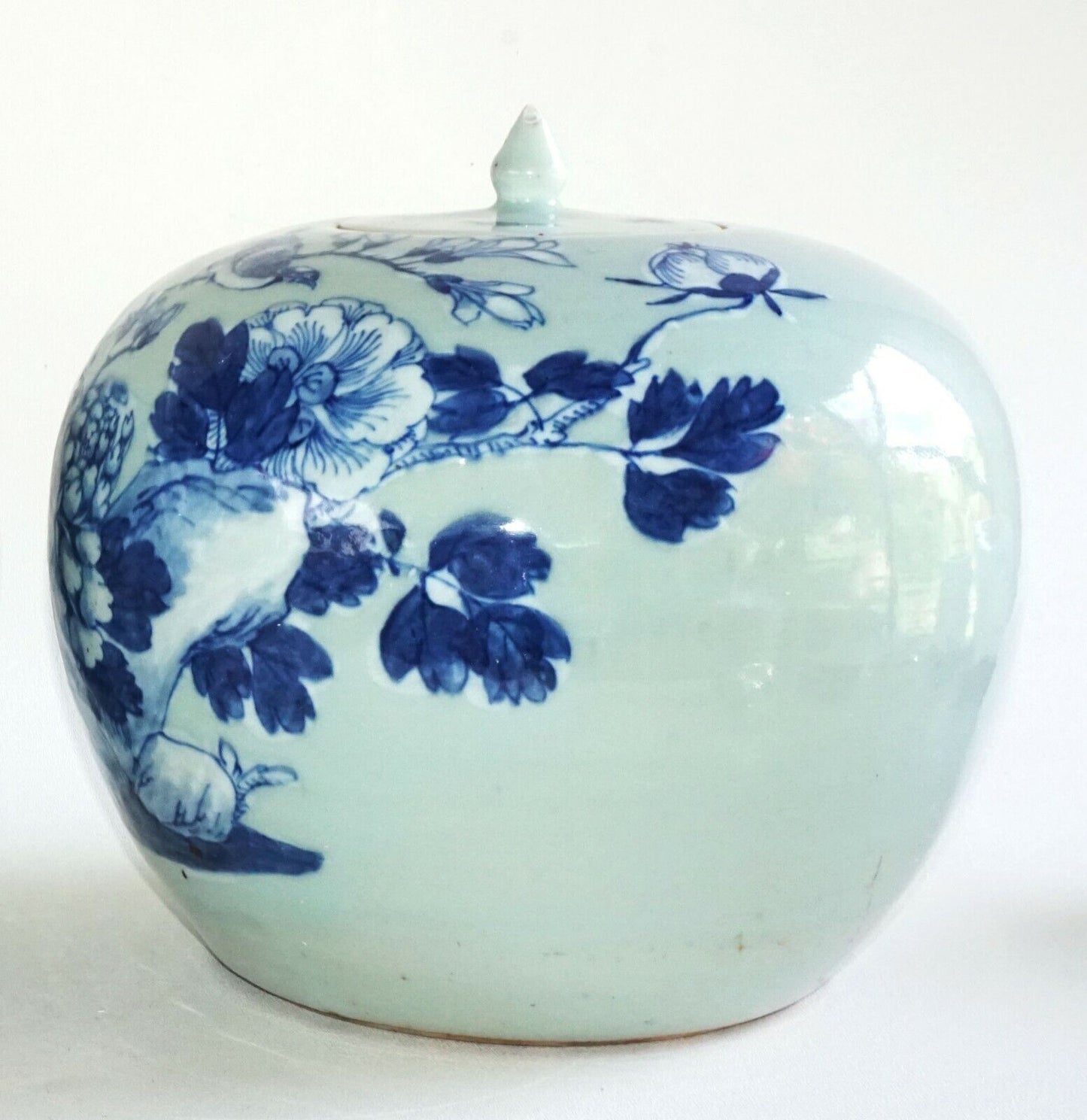 1900 Chinese Ginger Jar w. Blue & White Birds on Flowering Branches Motif (AHB)