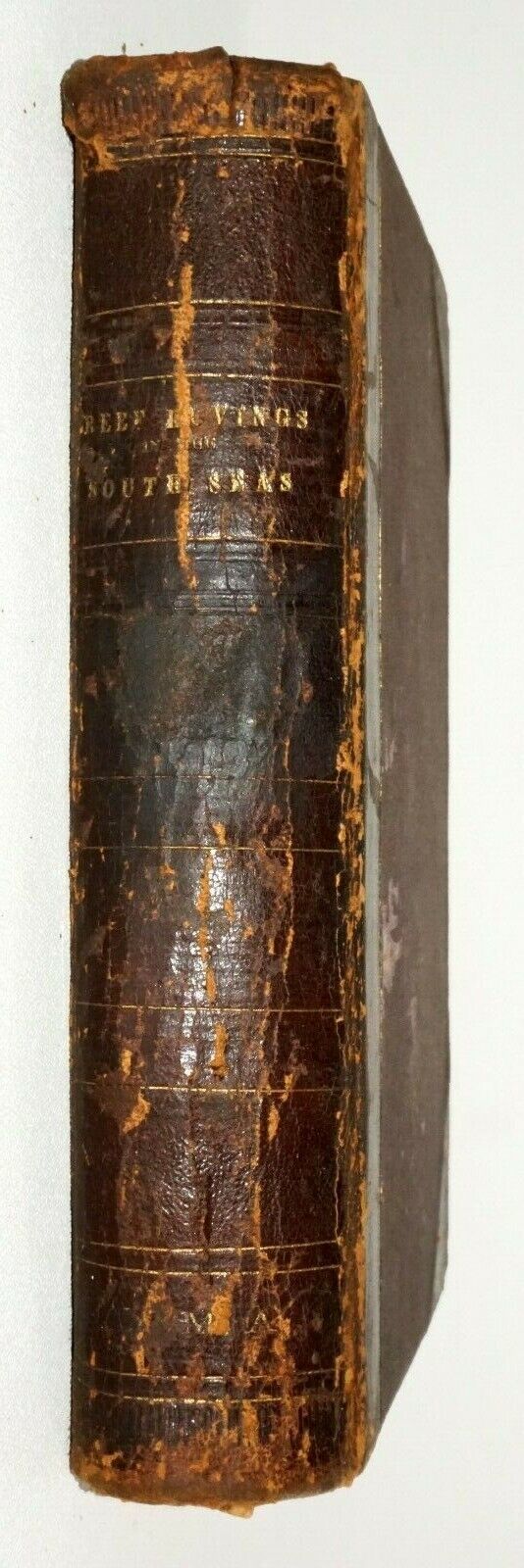 1854 1st Edition Book Na Motu Reef Rovings South Seas by Edward Perkins (BeG)