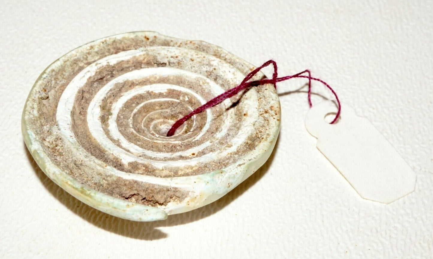 Prehistoric Ban Chiang Excavated Coiled Marine Cone Shell Earring (Mil)#221